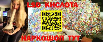стаф Донской