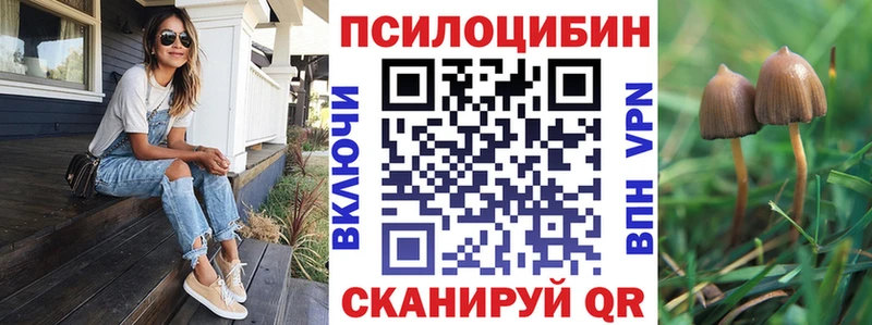 Псилоцибиновые грибы Psilocybine cubensis где купить наркоту Обнинск