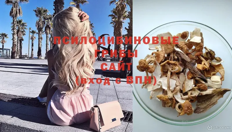 Псилоцибиновые грибы Magic Shrooms  mega как зайти  Обнинск 