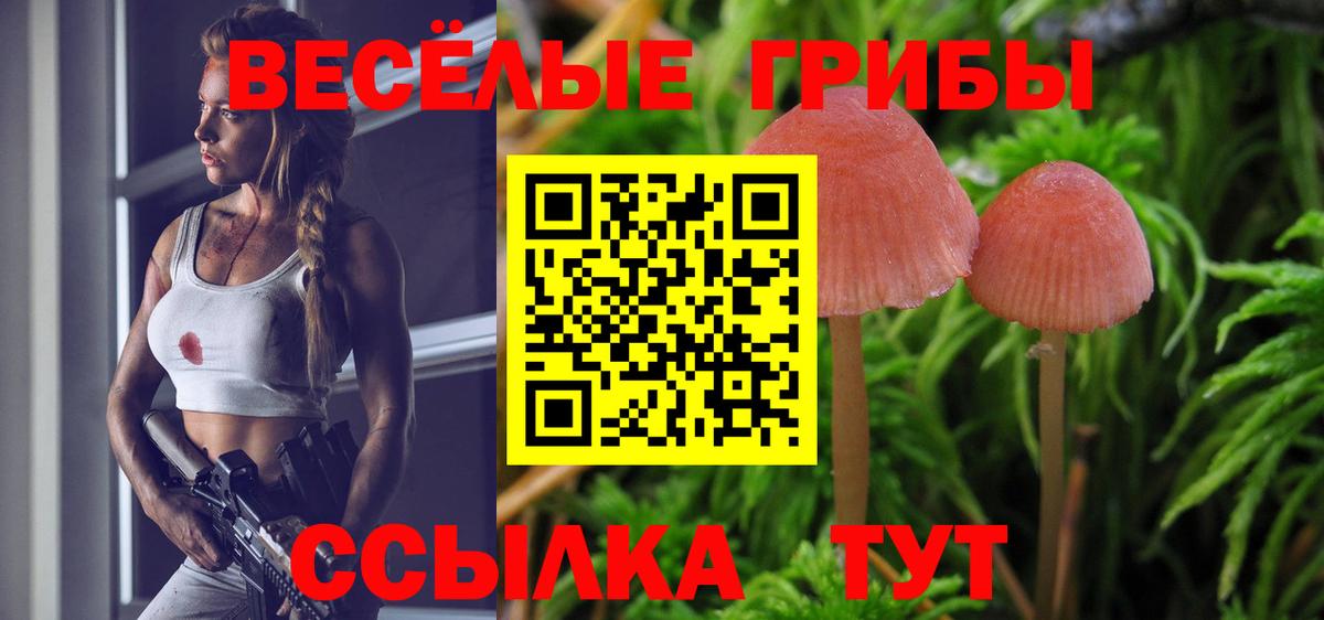 Галлюциногенные грибы ЛСД Обнинск