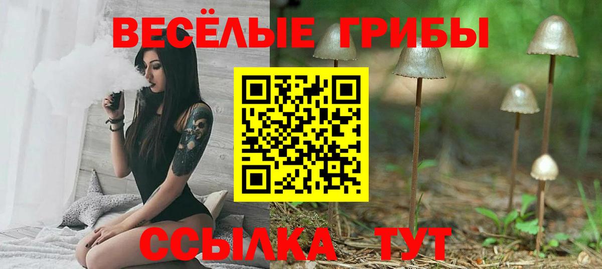 Псилоцибиновые грибы MAGIC MUSHROOMS  Вход с VPN  Обнинск  Галлюциногенные грибы ЛСД 